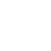 adi young